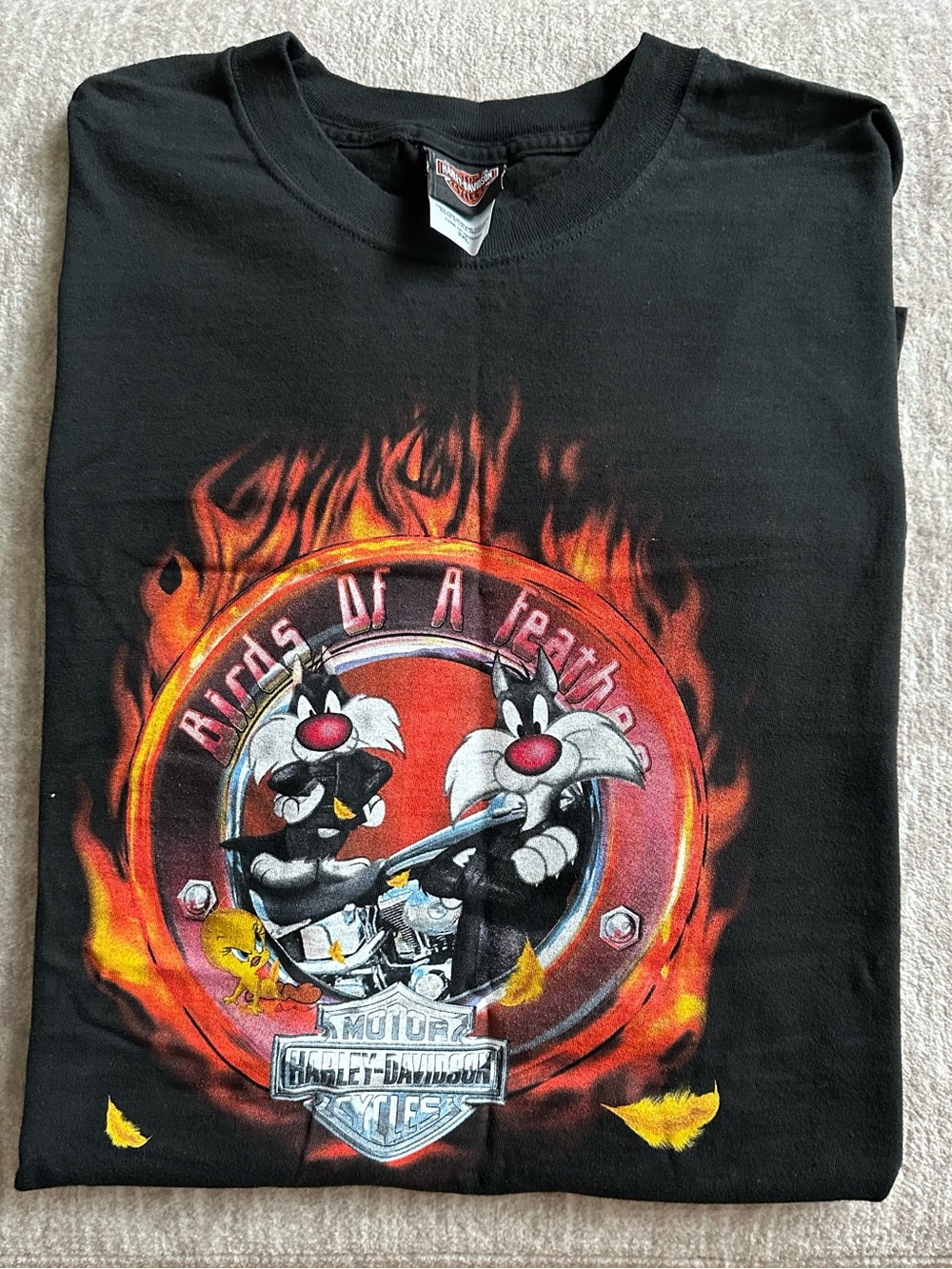 Vintage Harley-Davidson x Looney Tunes Birds of a Feather T-Shirt Size 2XL